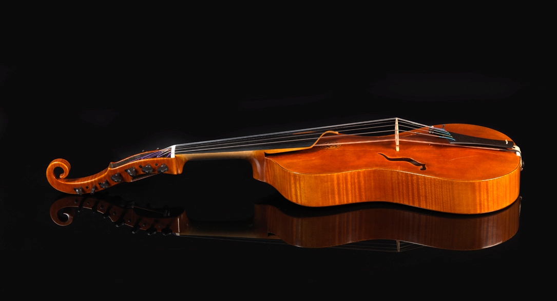 Daniel Ross Fusi viola damore 1